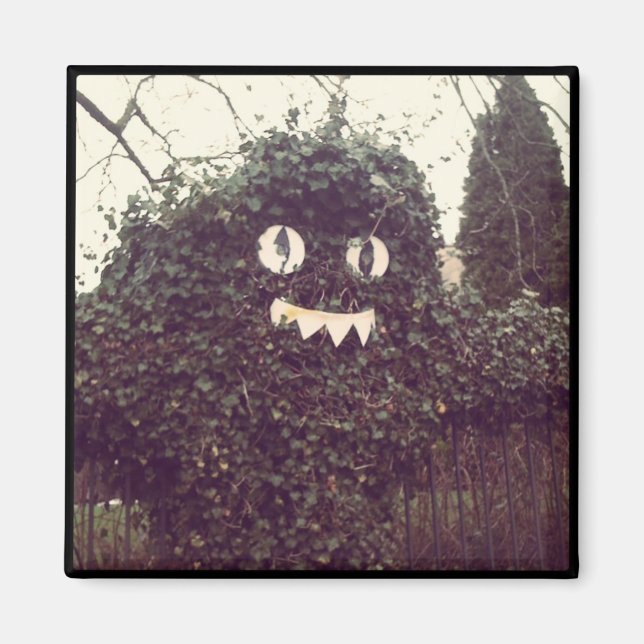 Imán Voodoo Bush (Frente)