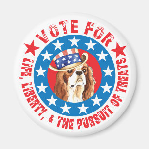 Imán Votación por Cavalier