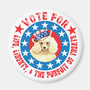 Imán Votación por el caniche en miniatura