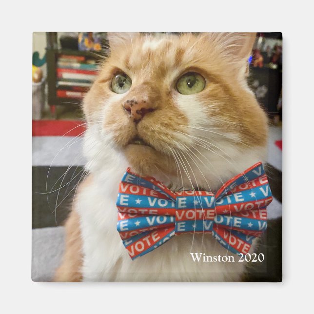 Imán Vote Winston (Frente)