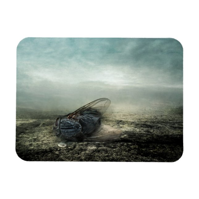 Imán Vuelo 2013 (Horizontal)