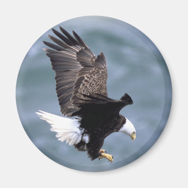 Imán Vuelo de Águila (Frente)