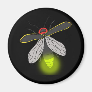 Imán vuelo del insecto de relámpago encendido
