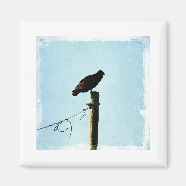 Imán Vulnerabilidad (Frente)