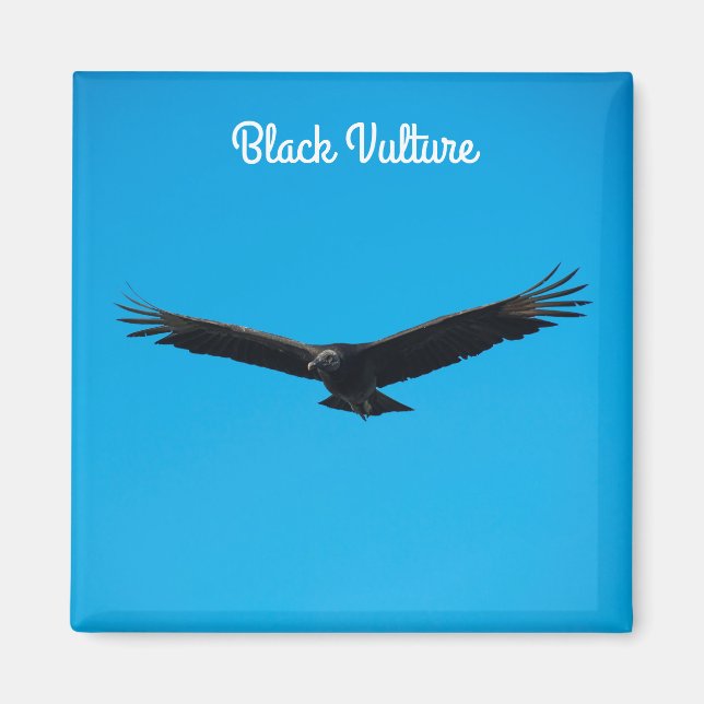 Imán Vulnerabilidad negra (Frente)