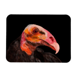 Imán Vultura de Savannah