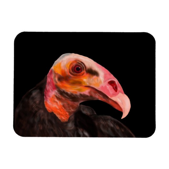 Imán Vultura de Savannah (Horizontal)