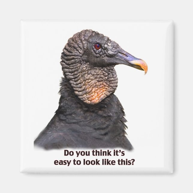 Imán Vulture (Frente)