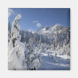 Imán WA, Alpine Lakes Wilderness, cuenca del lago Snow