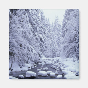 Imán WA, Bosque Nacional Monte Baker-Snoqualmie,