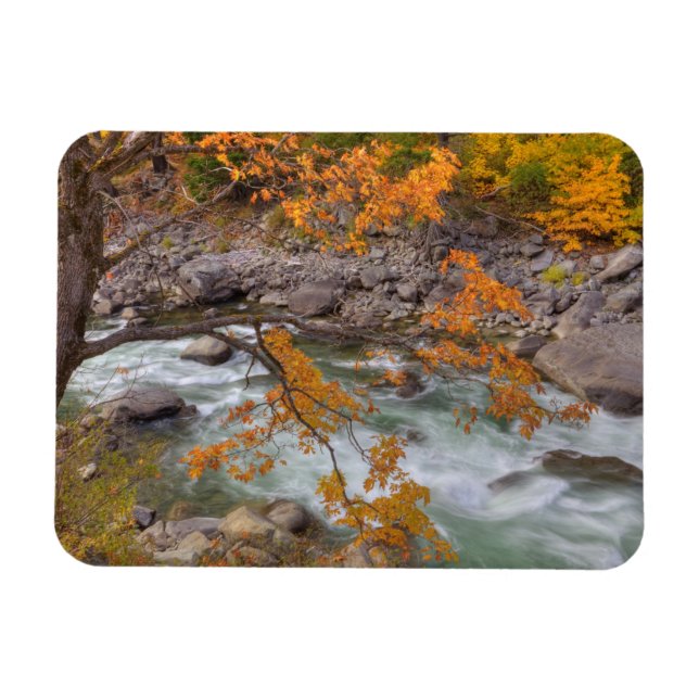 Imán WA, Bosque Nacional Wenatchee, Arce y (Horizontal)