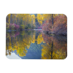 Imán WA, Bosque Nacional Wenatchee, arroyo Whitepine,