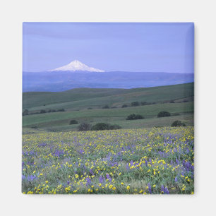 Imán WA, Condado de Klickitat, Dalles Mountain Ranch,