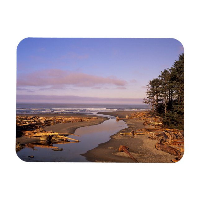 Imán WA, Olympic NP, Kalaloch Beach y Kalaloch (Horizontal)