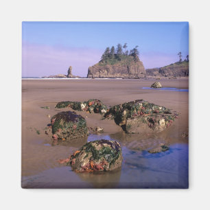 Imán WA, Olympic NP, Second Beach con piscinas de agua 