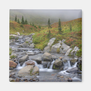 Imán WA, Parque Nacional del Monte Rainier, Edith Creek