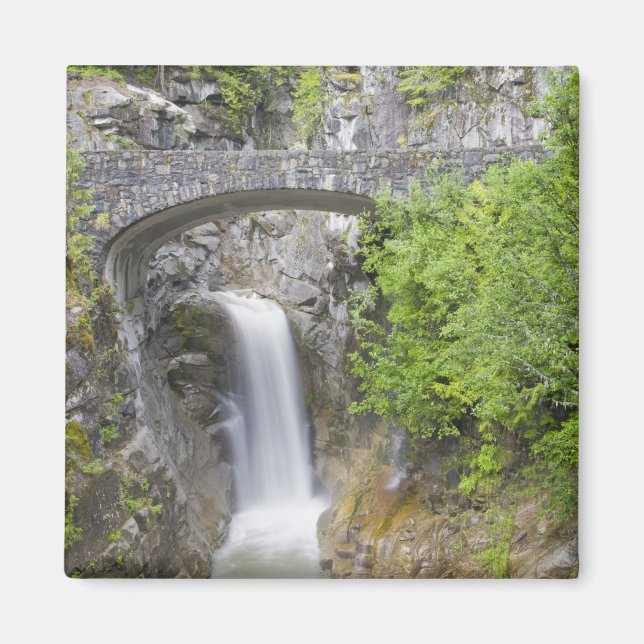 Imán WA, Parque Nacional Mount Rainier, Christine Falls (Frente)