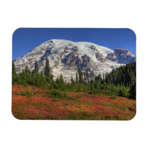 Imán WA, Parque Nacional Mt. Rainier, Paradise Valley