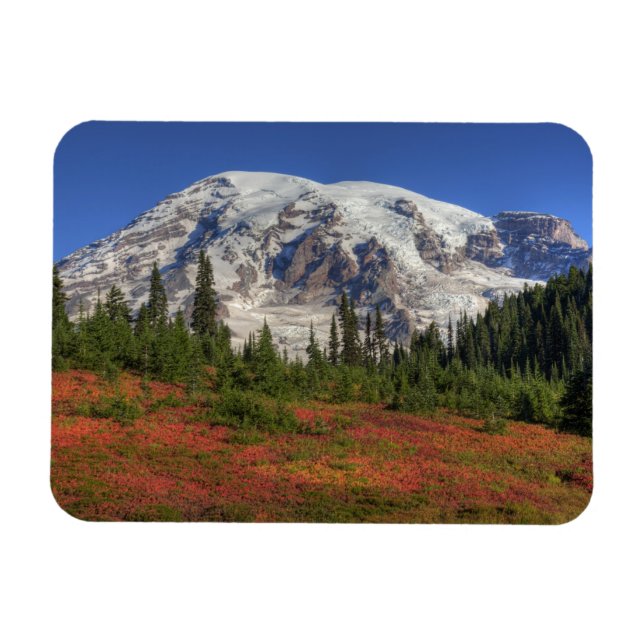 Imán WA, Parque Nacional Mt. Rainier, Paradise Valley (Horizontal)