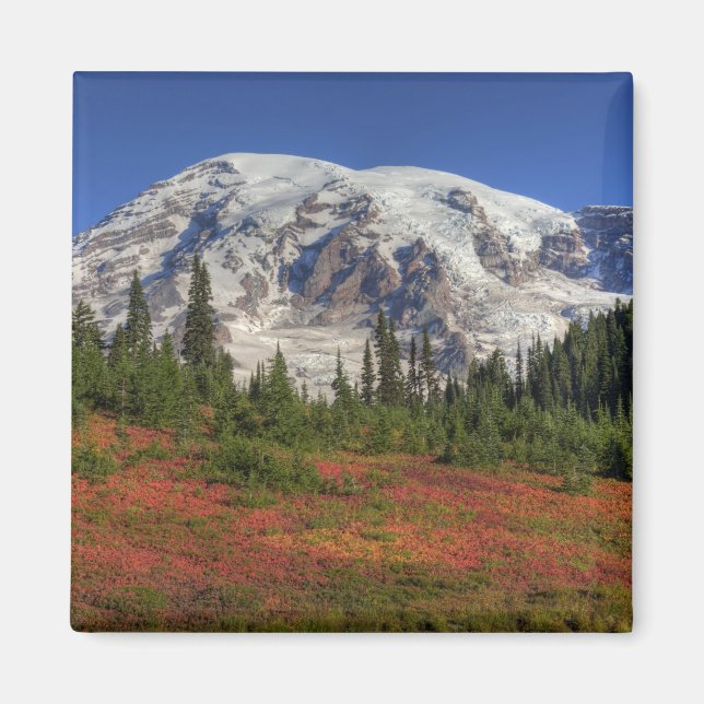 Imán WA, Parque Nacional Mt. Rainier, Paradise Valley (Frente)