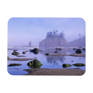 Imán WA, Parque Nacional Olímpico, Second Beach,
