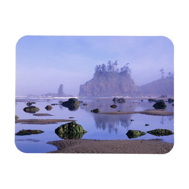 Imán WA, Parque Nacional Olímpico, Second Beach, (Horizontal)