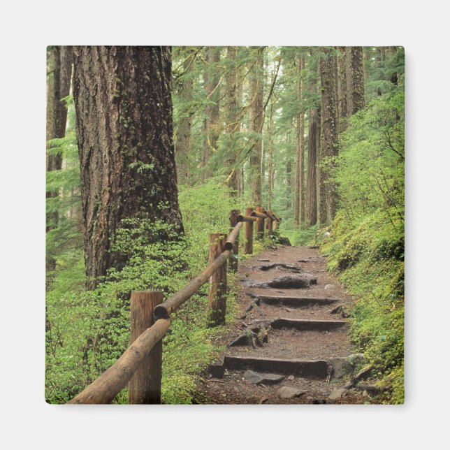 Imán WA, Parque Nacional Olímpico, Valle de Sol Duc, bo (Frente)