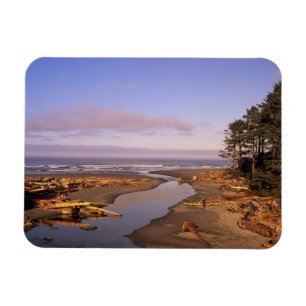 Imán WA, Parque Nacional Olympic, playa Kalaloch y Kala