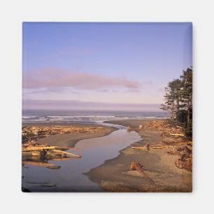 Imán WA, Parque Nacional Olympic, playa Kalaloch y Kala