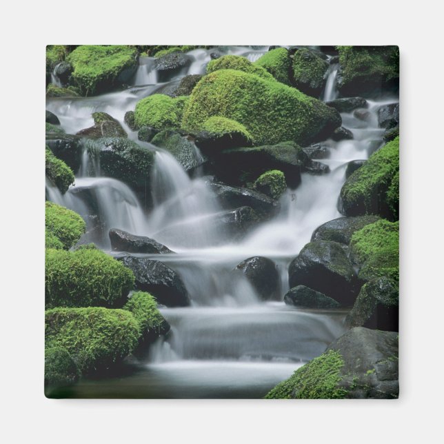 Imán WA, Parque Nacional Olympic, Valle de Sol Duc, arr (Frente)