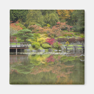 Imán WA, Seattle, Arboreto del Parque de Washington, 3