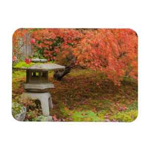 Imán WA, Seattle, Arboreto del Parque Washington, Japon