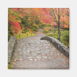 Imán WA, Seattle, Washington Park Arboretum,