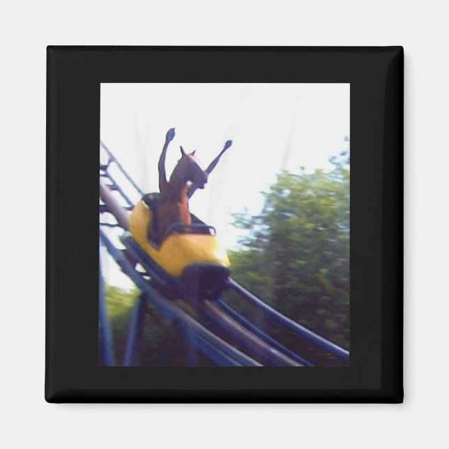 Imán Wacky Horse Riding Roller Coaster Meme Internet Fu (Frente)