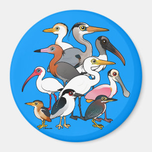 Imán Waders norteamericanos