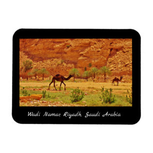 Imán Wadi Namar, Riad, Arabia Saudita