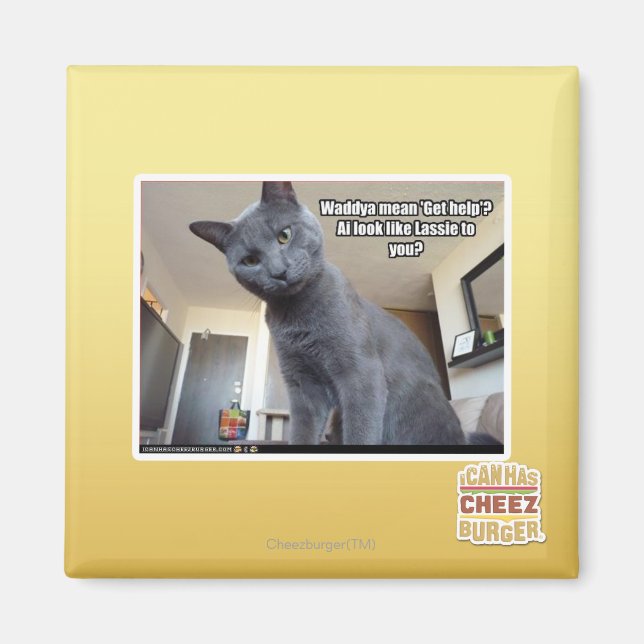 Imán ¿Wadya quiere decir 'Obtén ayuda'? (Frente)