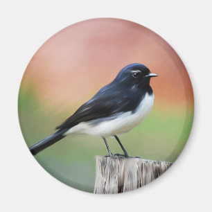 Imán Wagtail de Willy - arte australiano del pájaro