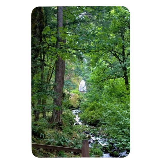 Imán Wahkeena Falls, OR (Vertical)