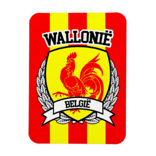 Imán Wallonië