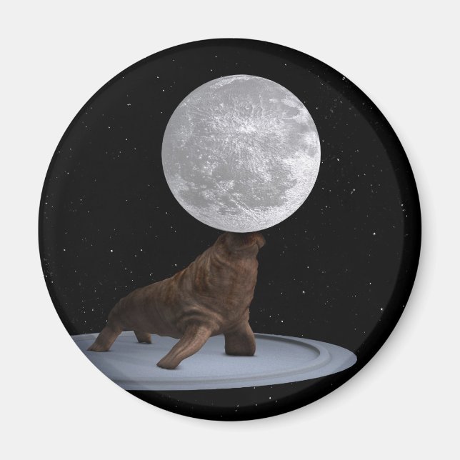 Imán Walrus Balanceando La Luna (Frente)