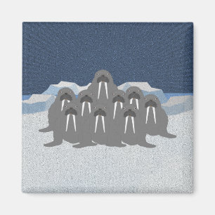 Imán Walrus Magnet