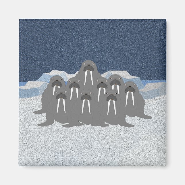 Imán Walrus Magnet (Frente)