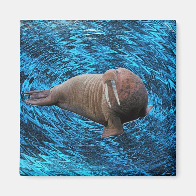Imán Walrus Magnet (Frente)