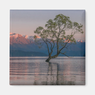 Imán Wanaka Tree, New Zealand Magnet