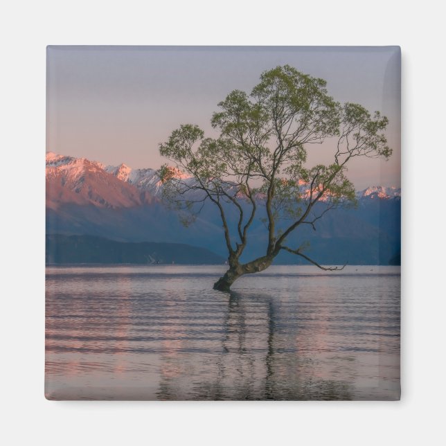 Imán Wanaka Tree, New Zealand Magnet (Frente)