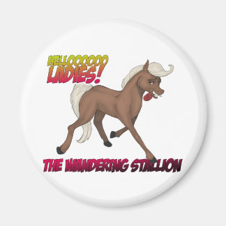 Imán Wandering Stallion