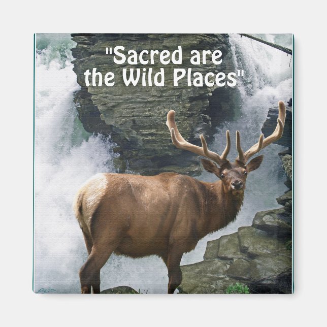 Imán Wapiti & Waterfall Wilderness Gift Magnet (Frente)