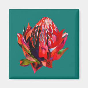 Imán Waratah Flor acuática australiana