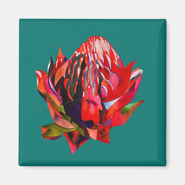 Imán Waratah Flor acuática australiana (Frente)